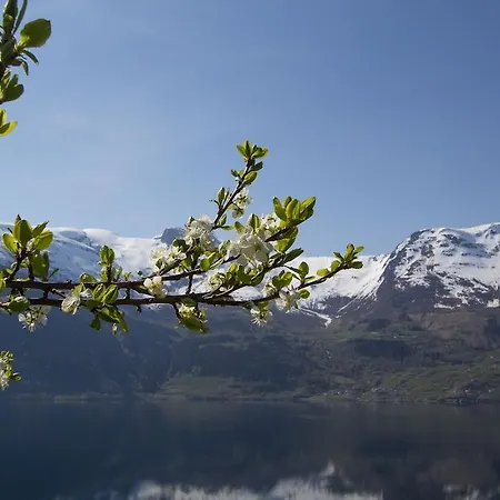 Leilighet Hardanger Hovland (Rogaland)